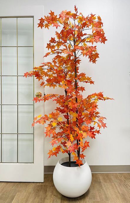 Autumn Maple Tree - White Planter