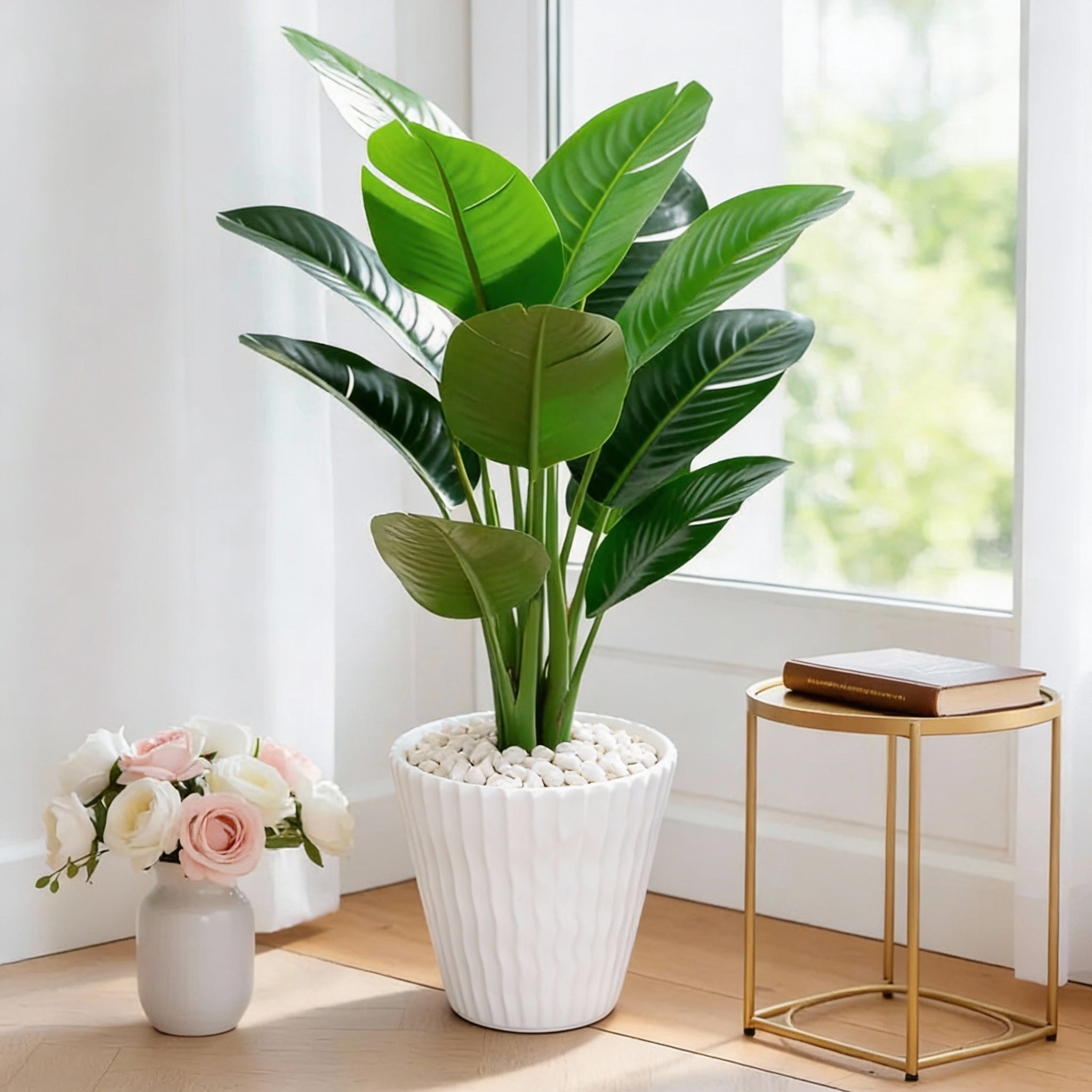 Bird of Paradise in White Fluted Planter