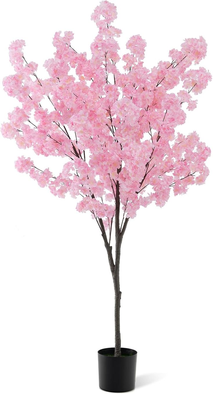 Cherry Blossom Tree - Pink Sakura
