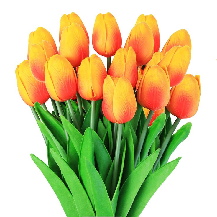 Orange-Yellow Tulips Bouquet - Gradient Blooms